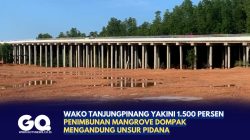 Wako Tanjungpinang Yakini 1.500 Persen Penimbunan Mangrove Dompak Mengandung Unsur Pidana