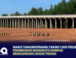 Wako Tanjungpinang Yakini 1.500 Persen Penimbunan Mangrove Dompak Mengandung Unsur Pidana