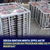 Sekda Bintan Minta SPPG Aktif Sosialisasikan Program MBG ke Penerima Manfaat