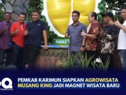 Pemkab Karimun Siapkan Agrowisata Musang King Jadi Magnet Wisata Baru