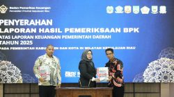 Raih WTP dari BPK RI, Pemkab Karimun Berkomitmen Sajikan Laporan Keuangan Sesuai Standar Akuntansi