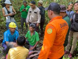 Dua Hari Pencarian, Lansia Hilang di Hutan Bukit Belah Lingga Ditemukan Selamat