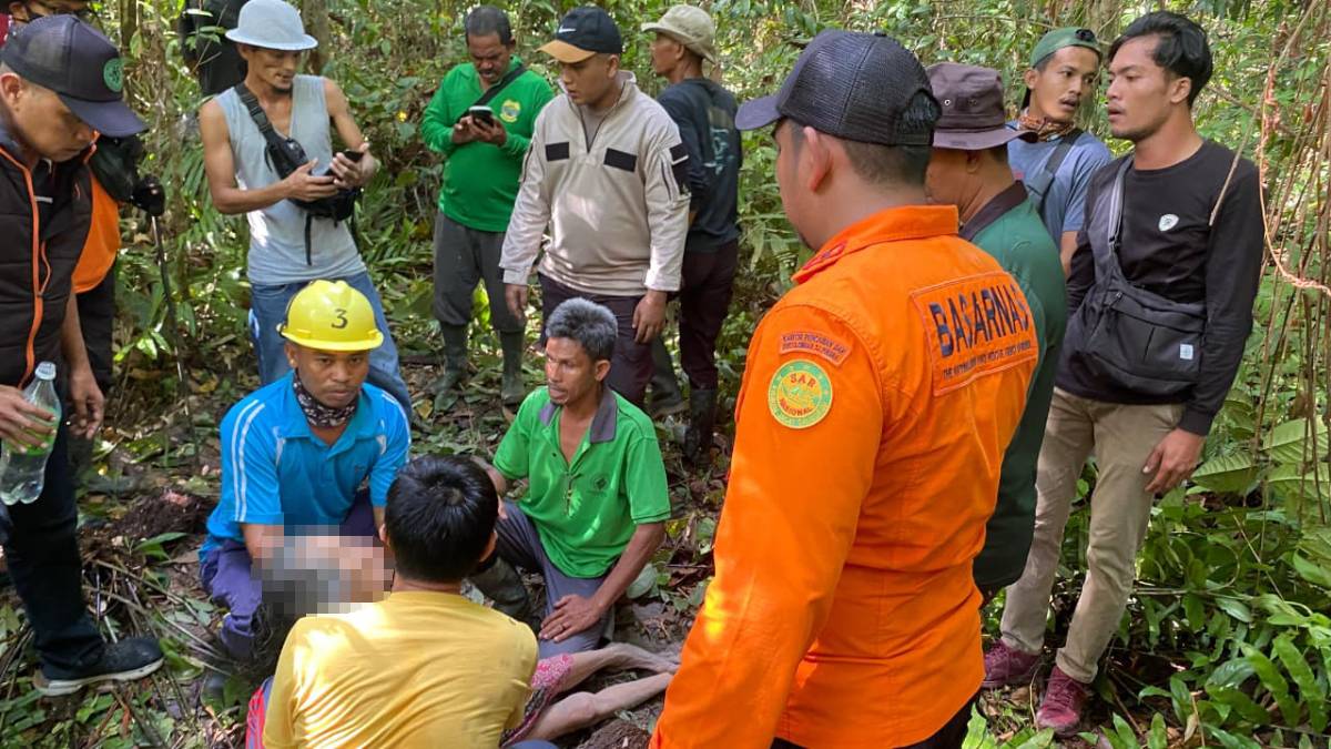 Dua Hari Pencarian, Lansia Hilang di Hutan Bukit Belah Lingga Ditemukan Selamat.