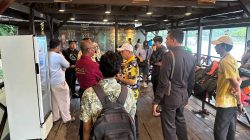 Speedboat Terbalik di Kawasan Wisata Mangrove Lagoi Bintan, Delapan WNA dan Bayi Selamat