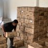 8.800 Dus Minyakita Tiba di Tanjungpinang-Bintan, Kelangkaan Segera Teratasi