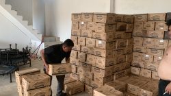 8.800 Dus Minyakita Tiba di Tanjungpinang-Bintan, Kelangkaan Segera Teratasi.