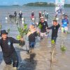 UMRAH Bersama BPDAS Pulihkan Pesisir, 20 Ribu Bibit Mangrove Ditanam di Dompak