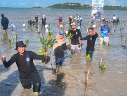 UMRAH Bersama BPDAS Pulihkan Pesisir, 20 Ribu Bibit Mangrove Ditanam di Dompak