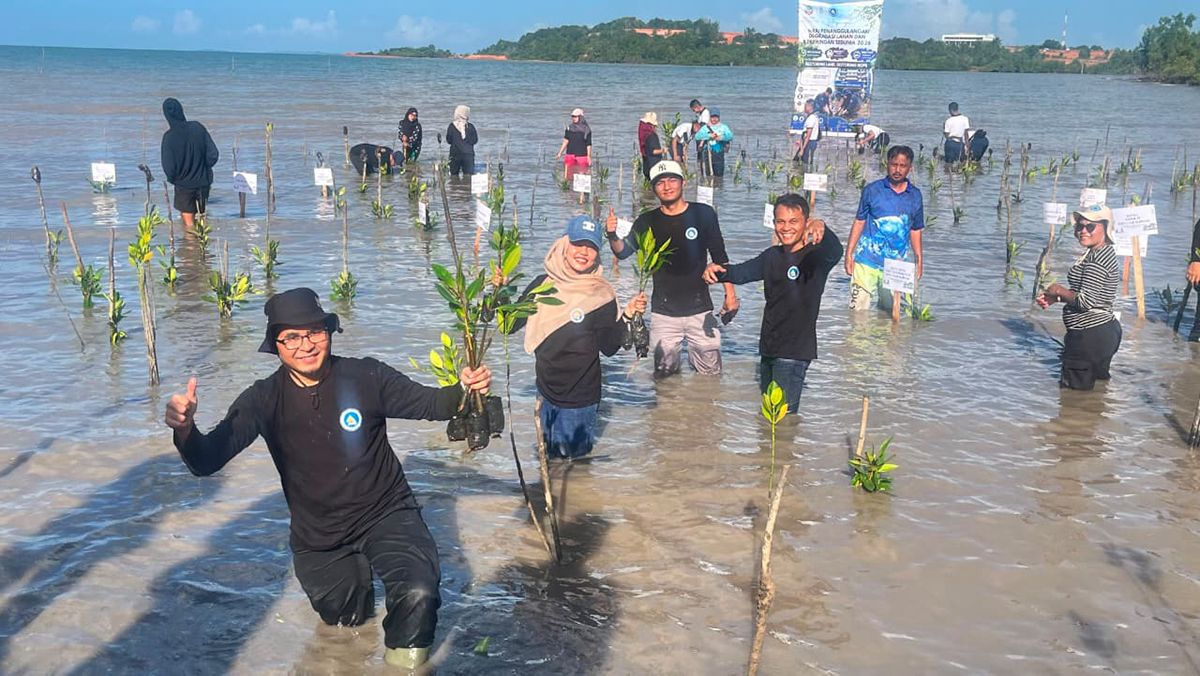 UMRAH Bersama BPDAS Pulihkan Pesisir, 20 Ribu Bibit Mangrove Ditanam di Dompak.