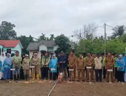 Tak Hanya Belajar di Kelas, Siswa SMAN 3 Karimun Kini Menanam Padi Gogo