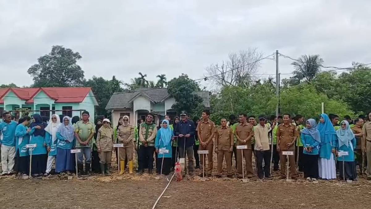 Tak Hanya Belajar di Kelas, Siswa SMAN 3 Karimun Kini Menanam Padi Gogo.