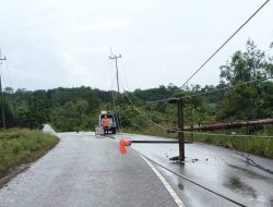 Dihantam Cuaca Ekstrem, Tiang Listrik PLN di Senggarang Tumbang