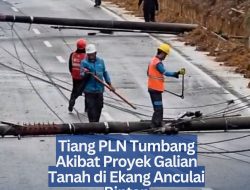 Tiang PLN Tumbang Akibat Proyek Galian Tanah di Ekang Anculai Bintan