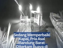 Sedang Memperbaiki Kapal, Pria Asal Bandung Barat Diterkam Buaya di Sumsel