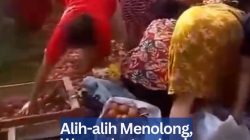 Alih-alih Menolong, Warga Justru Jarah Muatan Telur dari Pikap