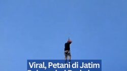 Viral, Petani di Jatim Pulang dari Berkebun Gunakan Drone Raksasa