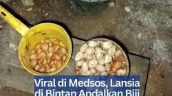 Viral di Medsos, Lansia di Bintan Andalkan Biji Cempedak untuk Bertahan Hidup