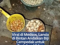 Viral di Medsos, Lansia di Bintan Andalkan Biji Cempedak untuk Bertahan Hidup