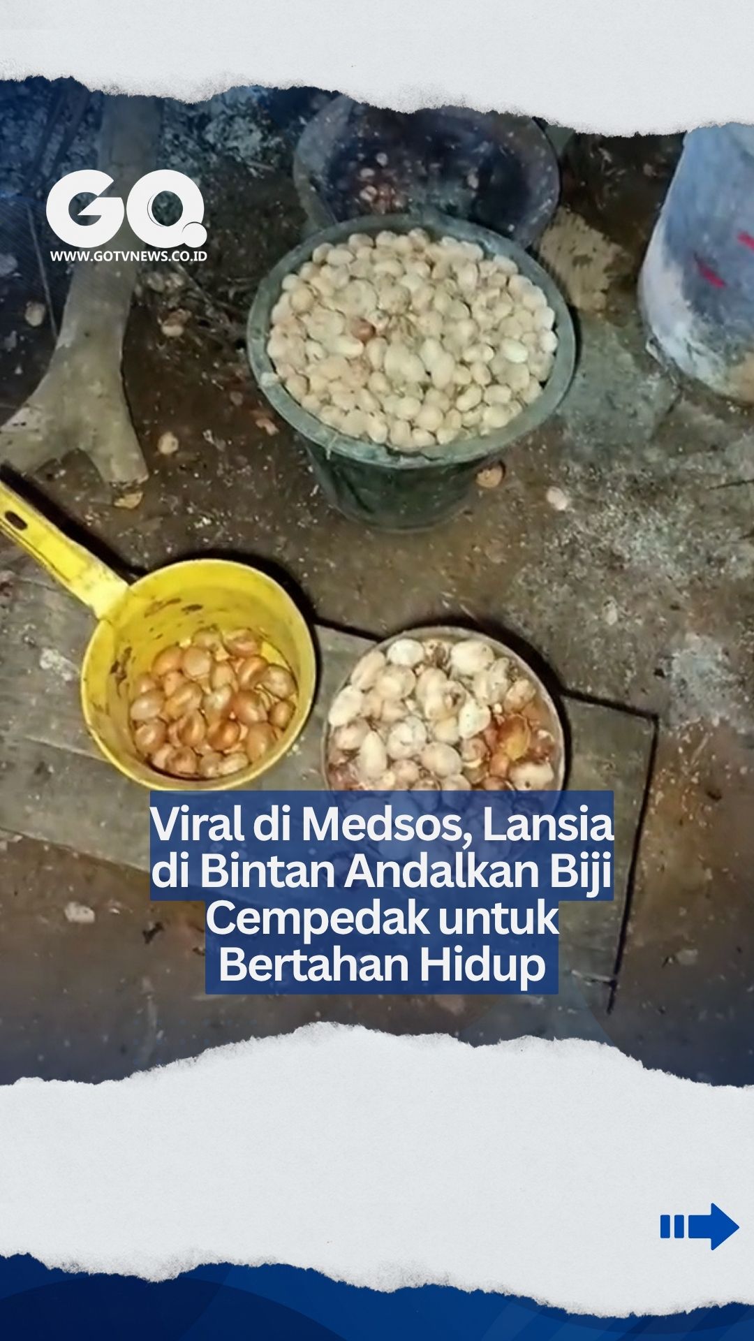 Viral di Medsos, Lansia di Bintan Andalkan Biji Cempedak untuk Bertahan Hidup.
