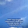 KMP Teluk Singkil Dikerumuni Lebah Saat Hendak Sandar di Tanjung Buton