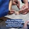 Viral, Aksi Damkar di Pemalang Jawa Tengah Selamatkan Anak Kucing Terjepit Beton
