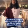 Dalam Waktu Singkat, Akun Instagram Penjual Kambing di Malang Dibanjiri Followers
