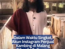 Dalam Waktu Singkat, Akun Instagram Penjual Kambing di Malang Dibanjiri Followers