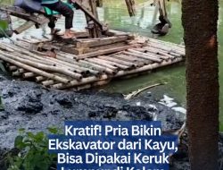 Kreatif! Pria Bikin Ekskavator dari Kayu, Bisa Dipakai Keruk Lumpur di Kolam