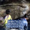 Bangkai Paus Biru Sepanjang 13 Meter Berhasil Dievakuasi dari Kolong Rumah Warga