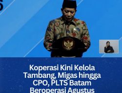 Koperasi Kini Kelola Tambang, Migas hingga CPO, PLTS Batam Beroperasi Agustus 2026