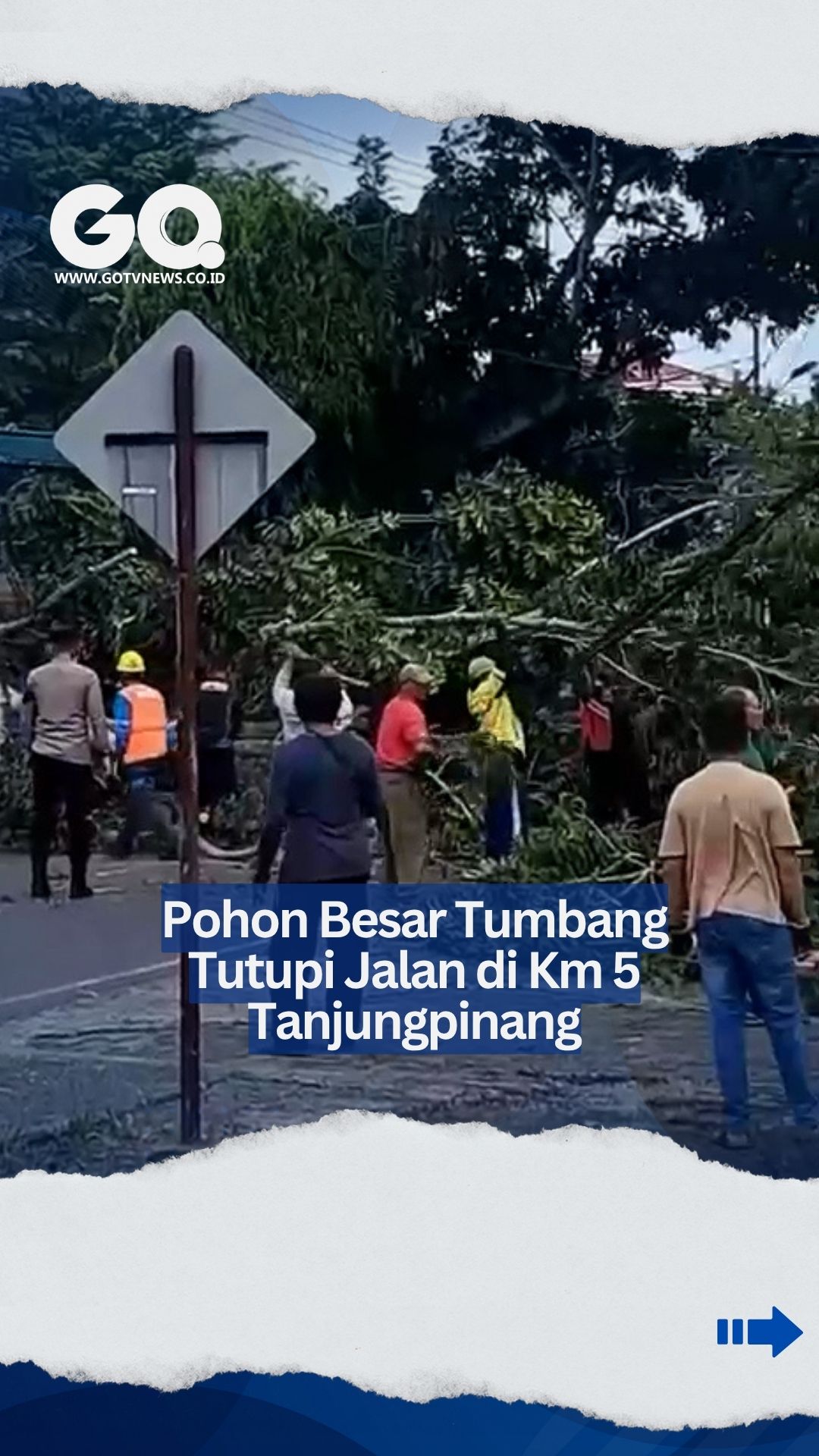 Pohon Besar Tumbang Tutupi Jalan di Km 5 Tanjungpinang.