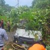Aksi Sigap Polsek Siantan, BPBD dan Warga Tangani Mobil Ekspedisi Tertimpa Pohon