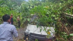 Aksi Sigap Polsek Siantan, BPBD dan Warga Tangani Mobil Ekspedisi Tertimpa Pohon