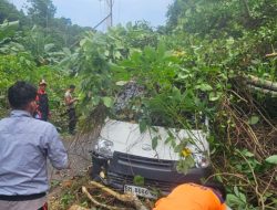 Aksi Sigap Polsek Siantan, BPBD dan Warga Tangani Mobil Ekspedisi Tertimpa Pohon
