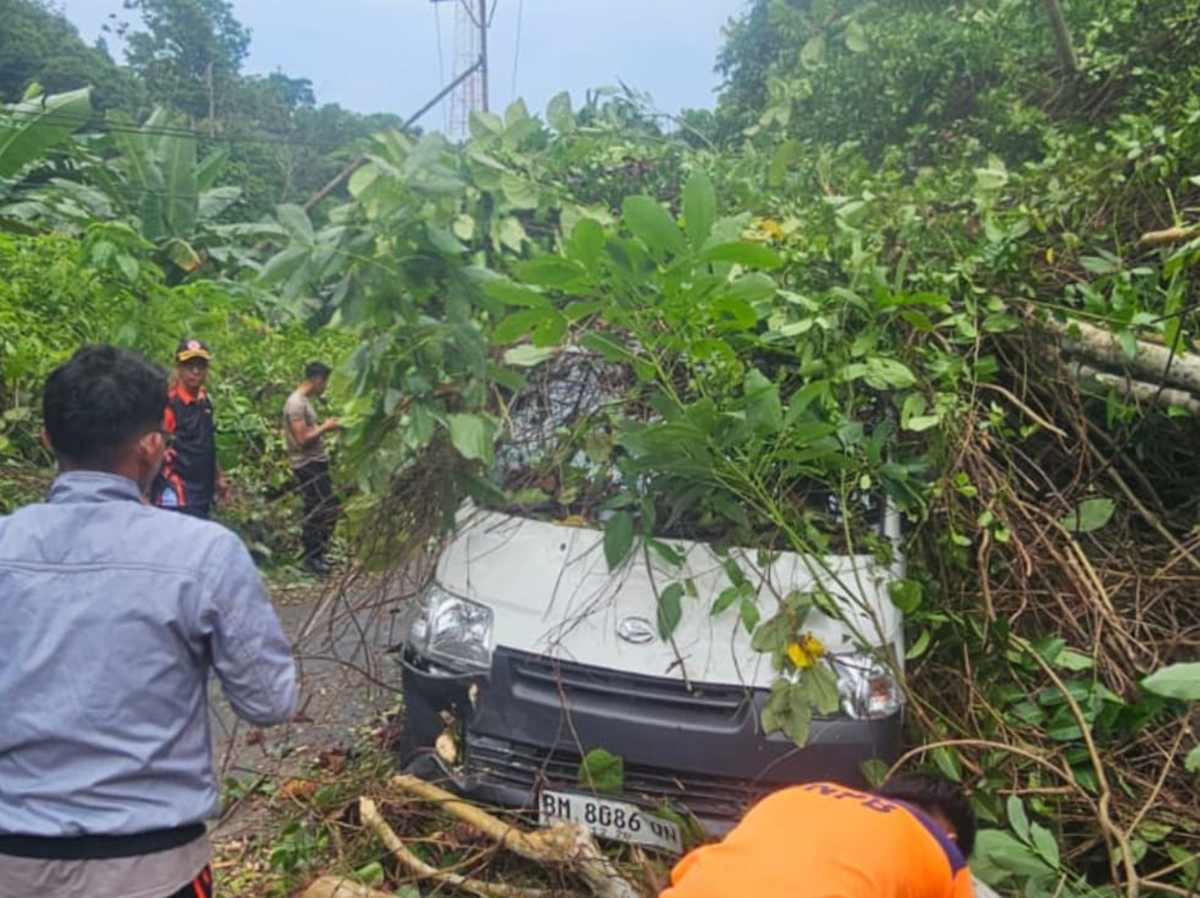 Aksi Sigap Polsek Siantan, BPBD dan Warga Tangani Mobil Ekspedisi Tertimpa Pohon.