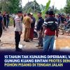 15 Tahun Tak Kunjung Diperbaiki, Warga Gunung Kijang Bintan Protes dengan Tanam Pohon Pisang di Tengah Jalan