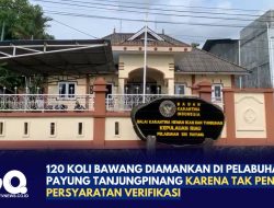 120 Koli Bawang Diamankan di Pelabuhan Sri Payung Tanjungpinang karena Tak Penuhi Persyaratan Verifikasi