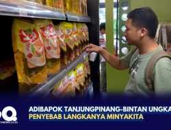 Adibapok Tanjungpinang-Bintan Ungkap Penyebab Langkanya Minyakita