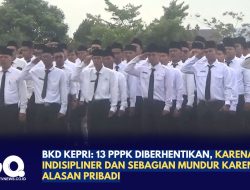 BKD Kepri: 13 PPPK Diberhentikan, Karena Indisipliner dan Sebagian Mundur karena Alasan Pribadi