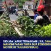 Diduga Lapuk Termakan Usia, Dahan Pohon Mahoni Patah Timpa Dua Pengendara Motor di Tanjungpinang