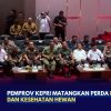 Pemprov Kepri Matangkan Perda Peternakan dan Kesehatan Hewan