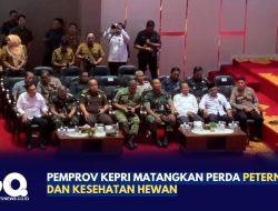 Pemprov Kepri Matangkan Perda Peternakan dan Kesehatan Hewan