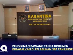 Pengiriman Bawang Tanpa Dokumen Digagalkan di Pelabuhan SBP Tanjungpinang
