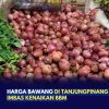 Harga Bawang di Tanjungpinang Naik, Imbas Kenaikan BBM