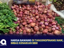 Harga Bawang di Tanjungpinang Naik, Imbas Kenaikan BBM