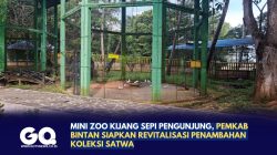 Mini Zoo Kijang Sepi Pengunjung, Pemkab Bintan Siapkan Revitalisasi Penambahan Koleksi Satwa
