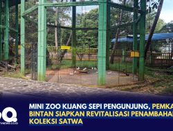 Mini Zoo Kijang Sepi Pengunjung, Pemkab Bintan Siapkan Revitalisasi Penambahan Koleksi Satwa