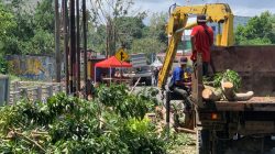 Insiden Dahan Pohon Mahoni Patah, Kepala BPBD Tanjungpinang: Korban Empat Orang dan Alami Luka Ringan.