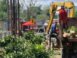 Insiden Dahan Pohon Mahoni Patah, Kepala BPBD Tanjungpinang: Korban Empat Orang dan Alami Luka Ringan
