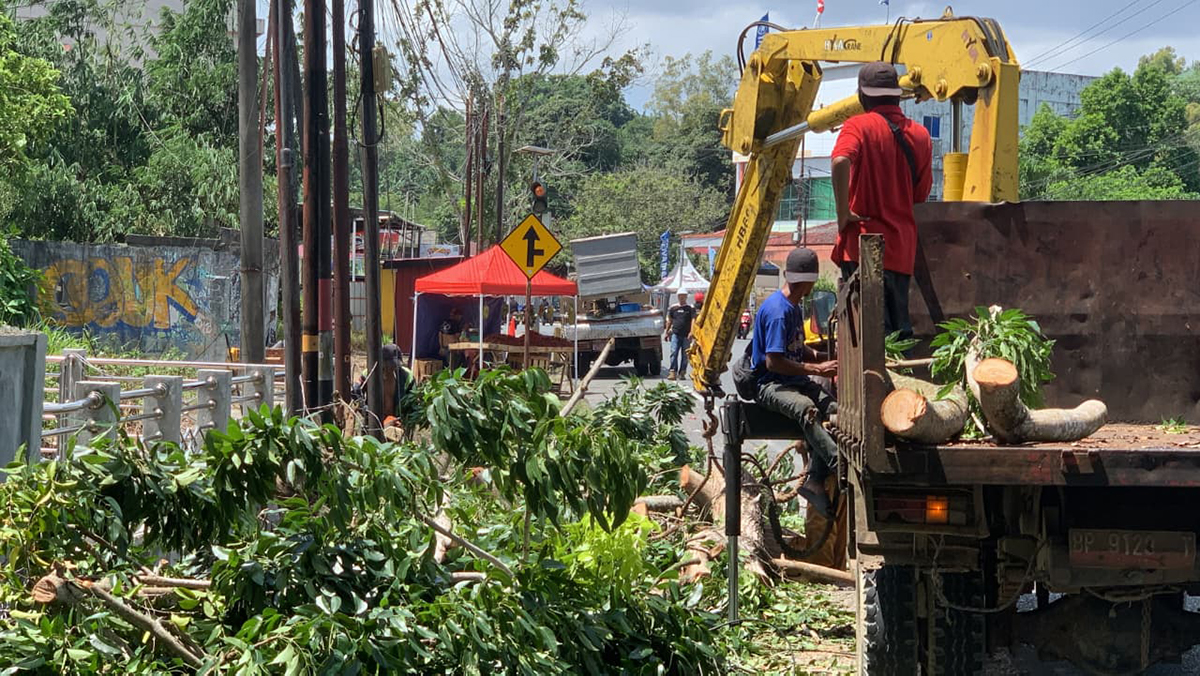 Insiden Dahan Pohon Mahoni Patah, Kepala BPBD Tanjungpinang: Korban Empat Orang dan Alami Luka Ringan.